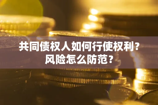 济南共同债权人如何行使权利？风险怎么防范？